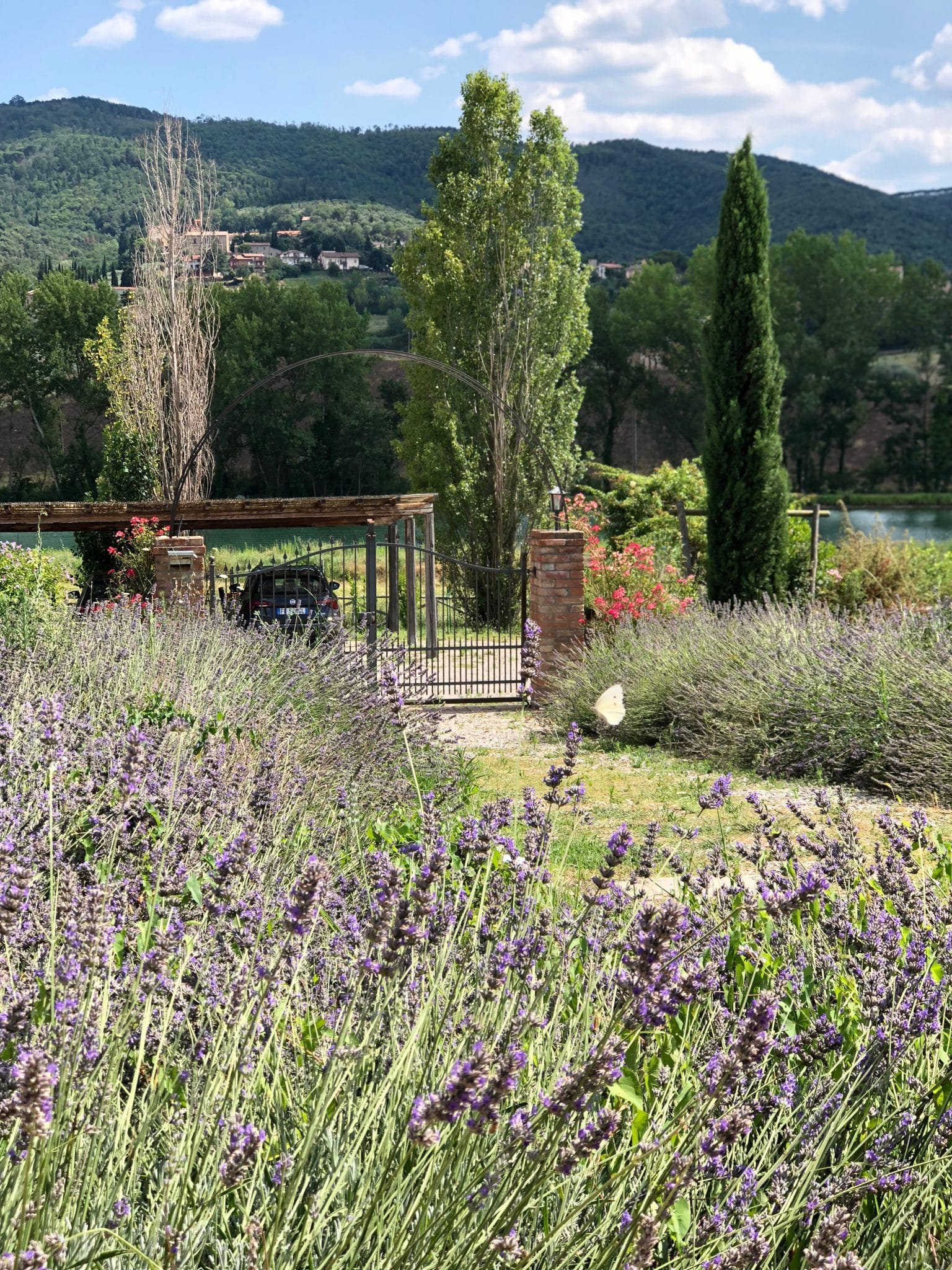 sassicaia fontegirasole entrance