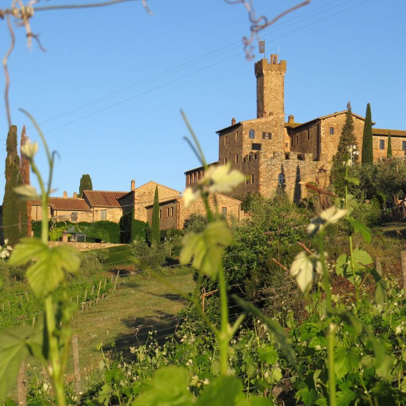 Fontanaro bike tour