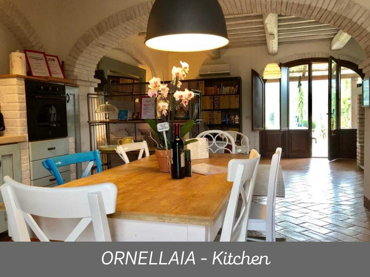 ORNELLAIA 13