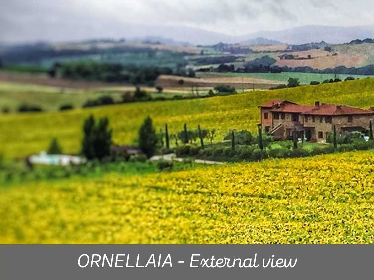 ORNELLAIA 15