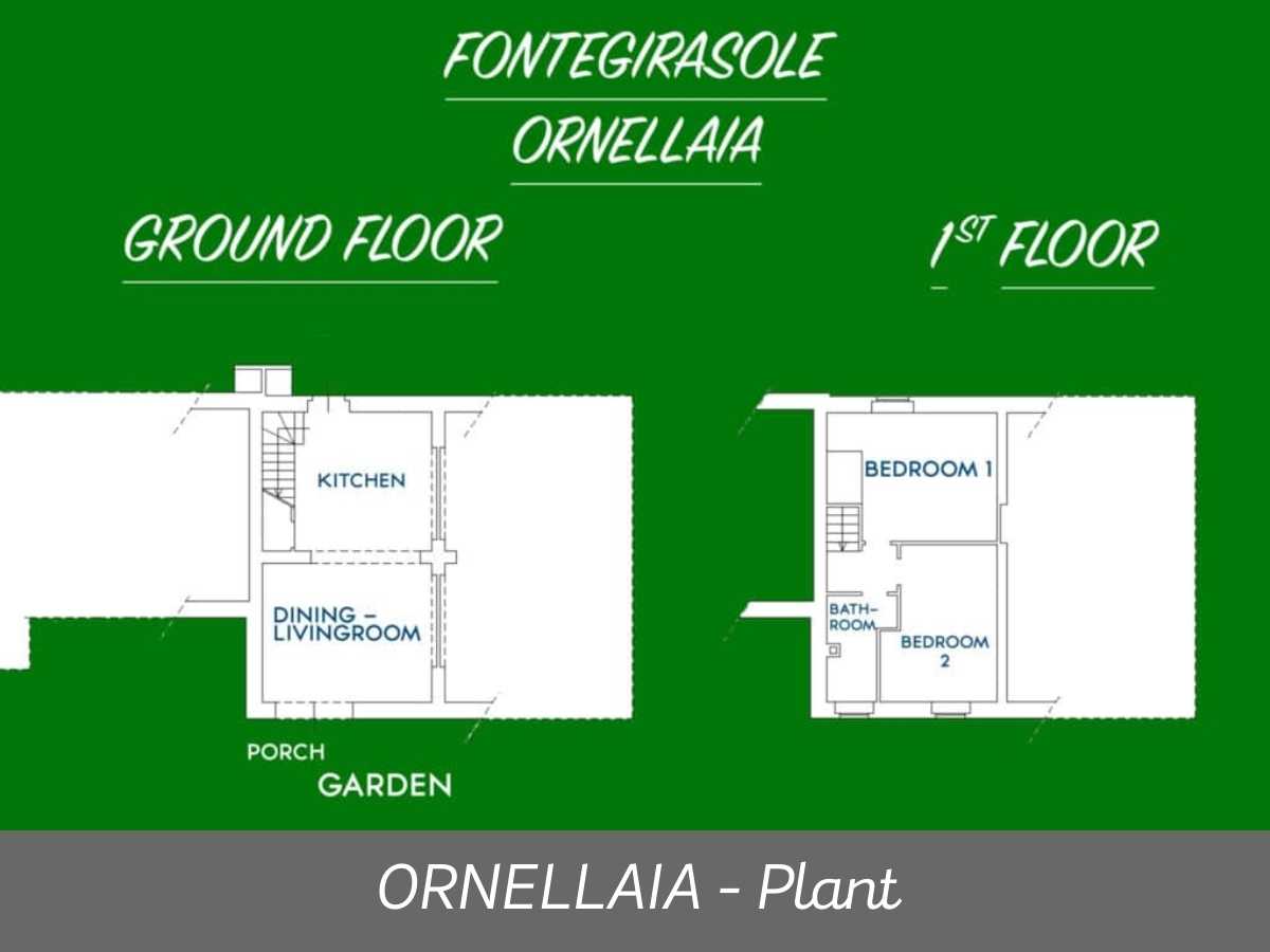 ORNELLAIA - PLANT