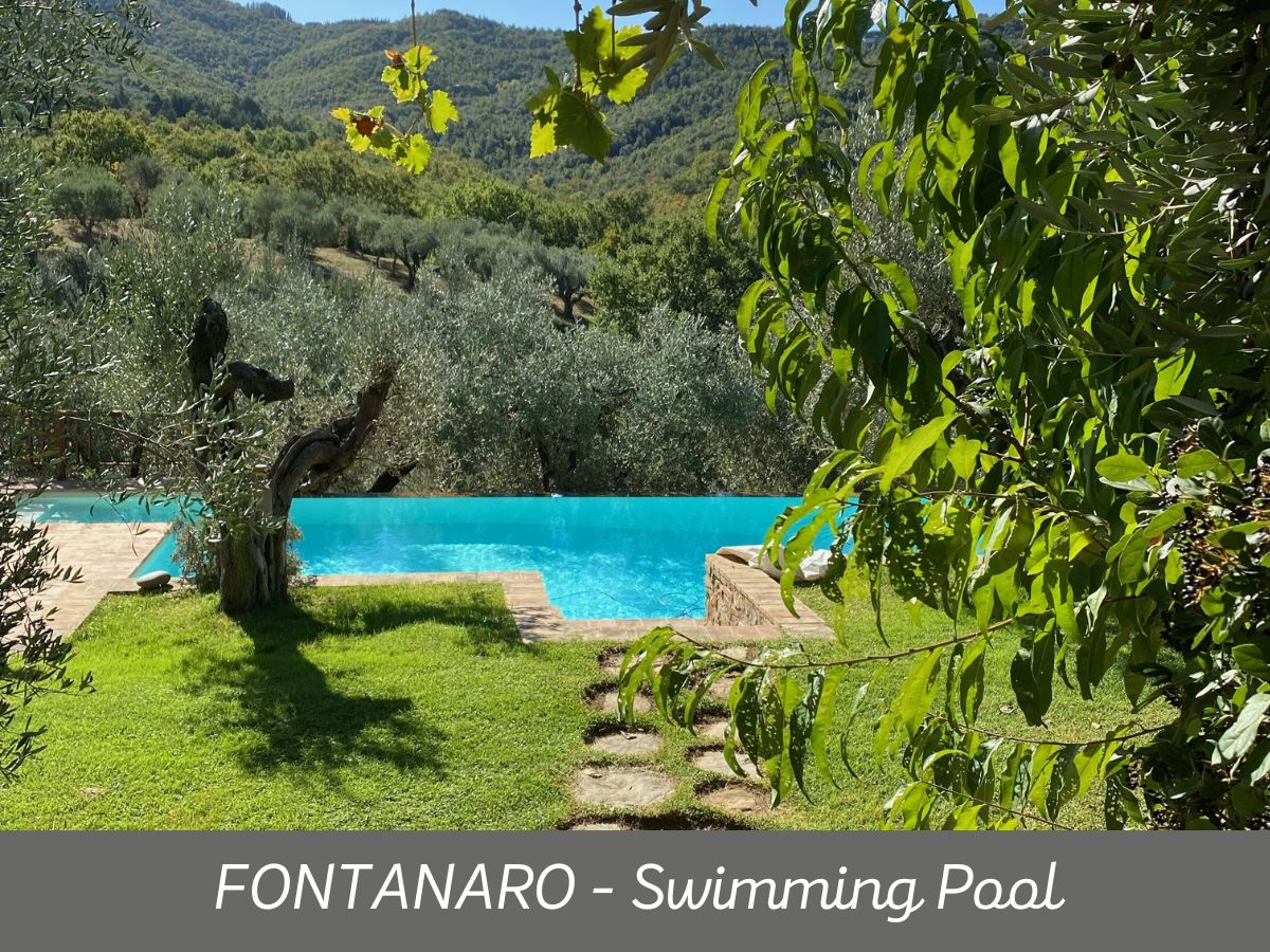 Fontanaro (13)