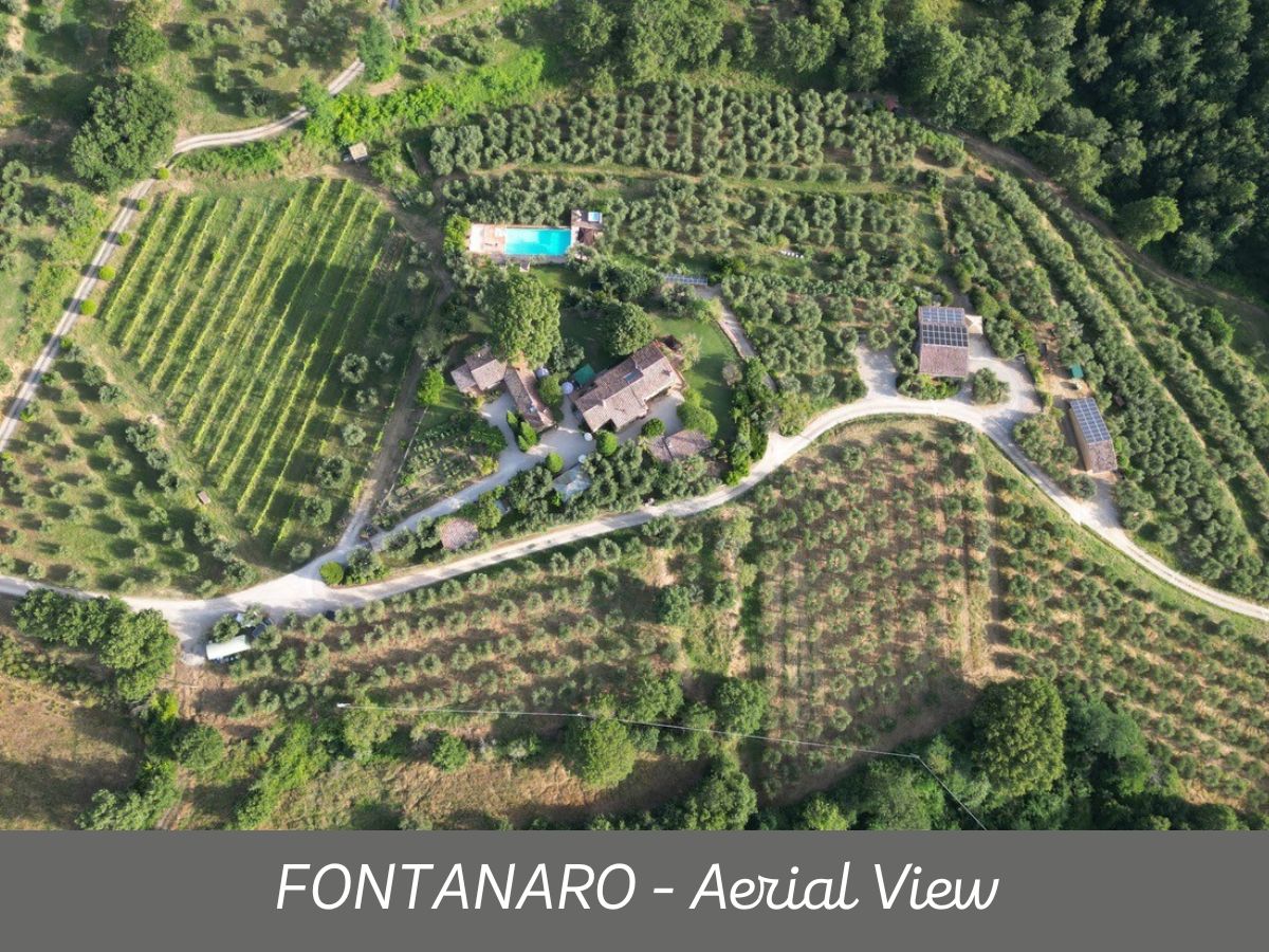 Fontanaro (15)