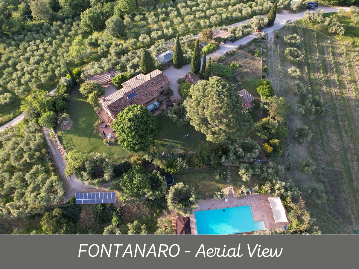 Fontanaro (19)