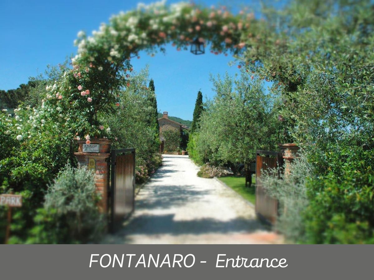 Fontanaro (8)