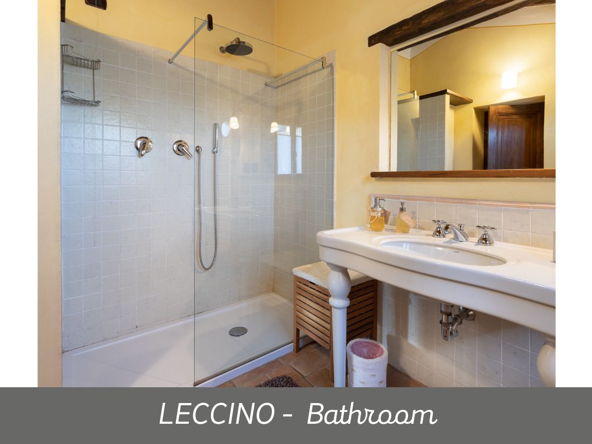 Leccino (3)