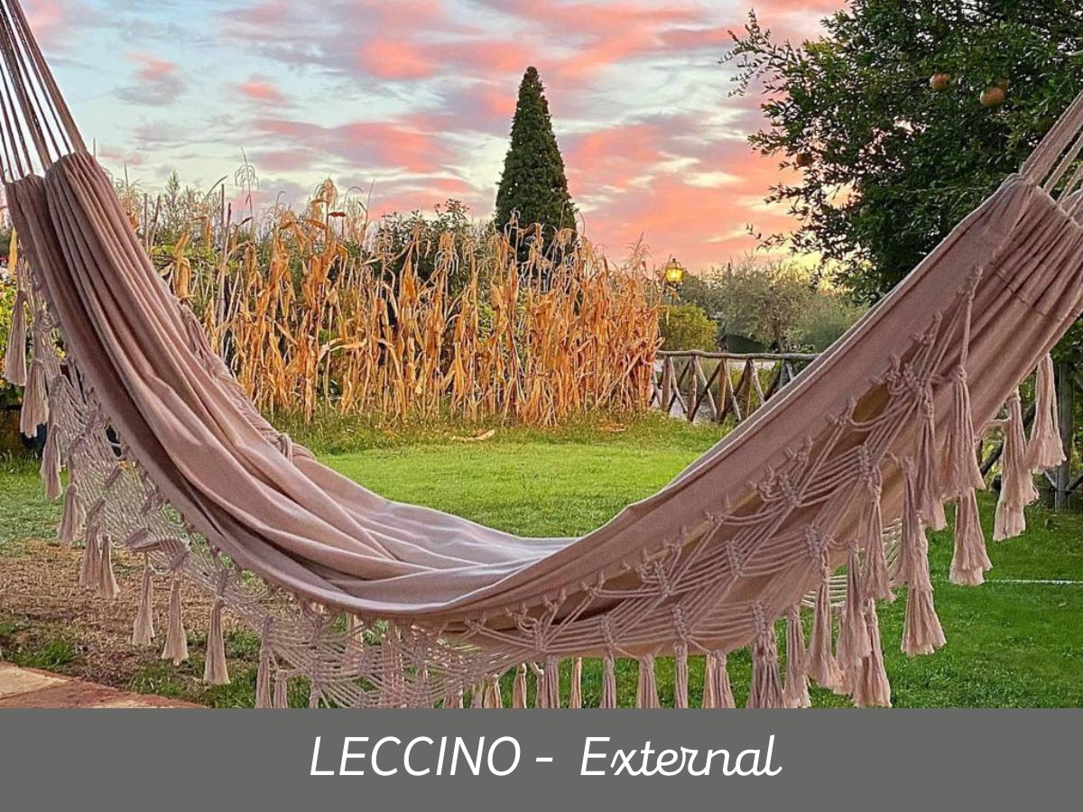 Leccino (5)