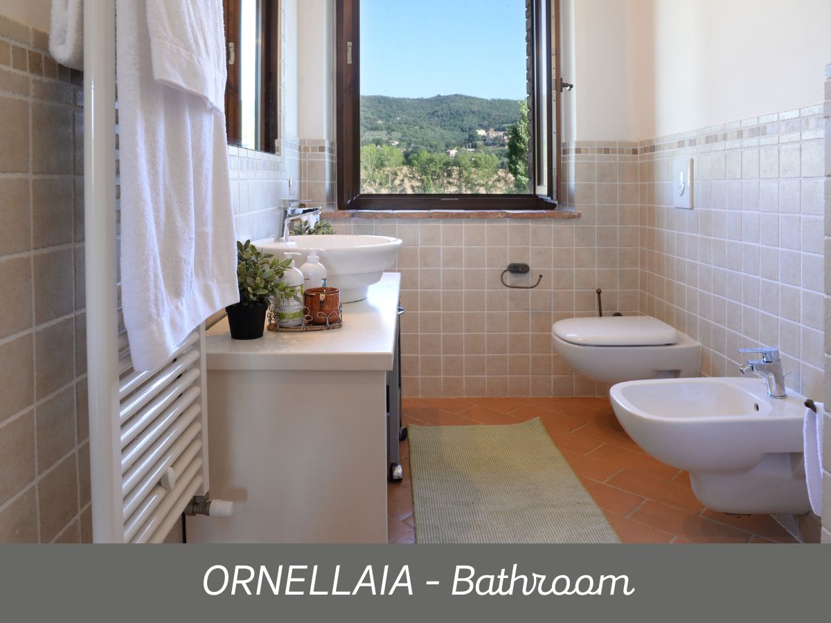 Ornellaia (10)