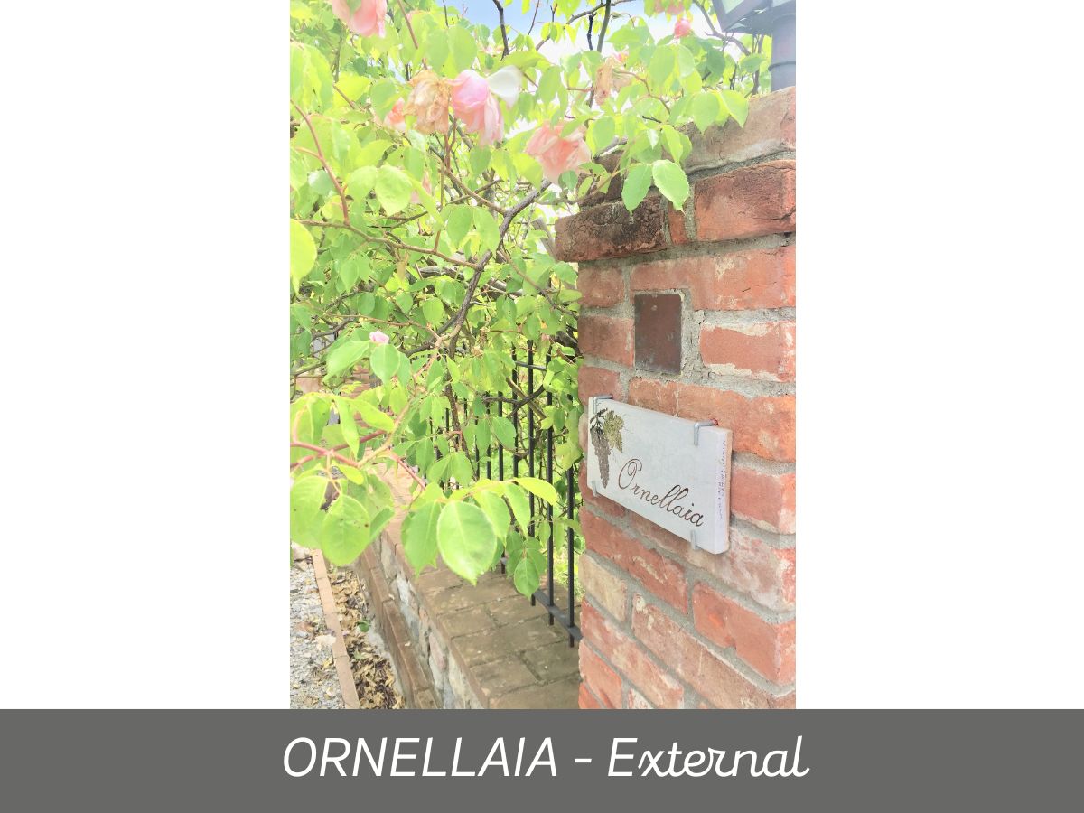 Ornellaia (11)