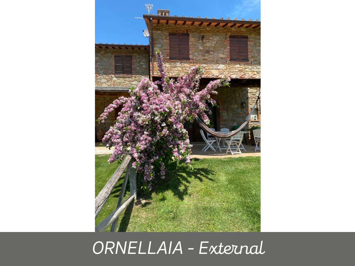 Ornellaia (12)