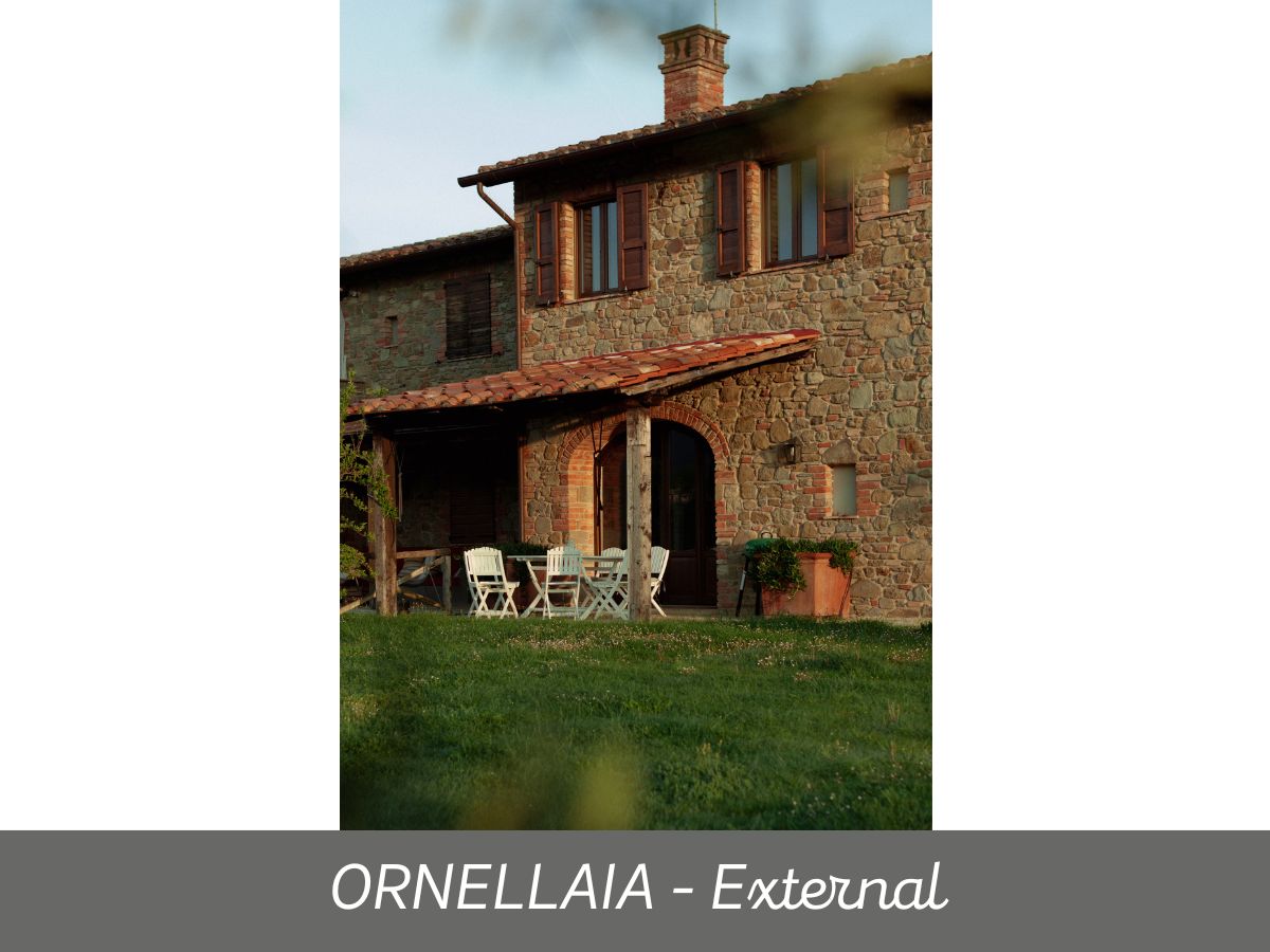 Ornellaia (13)