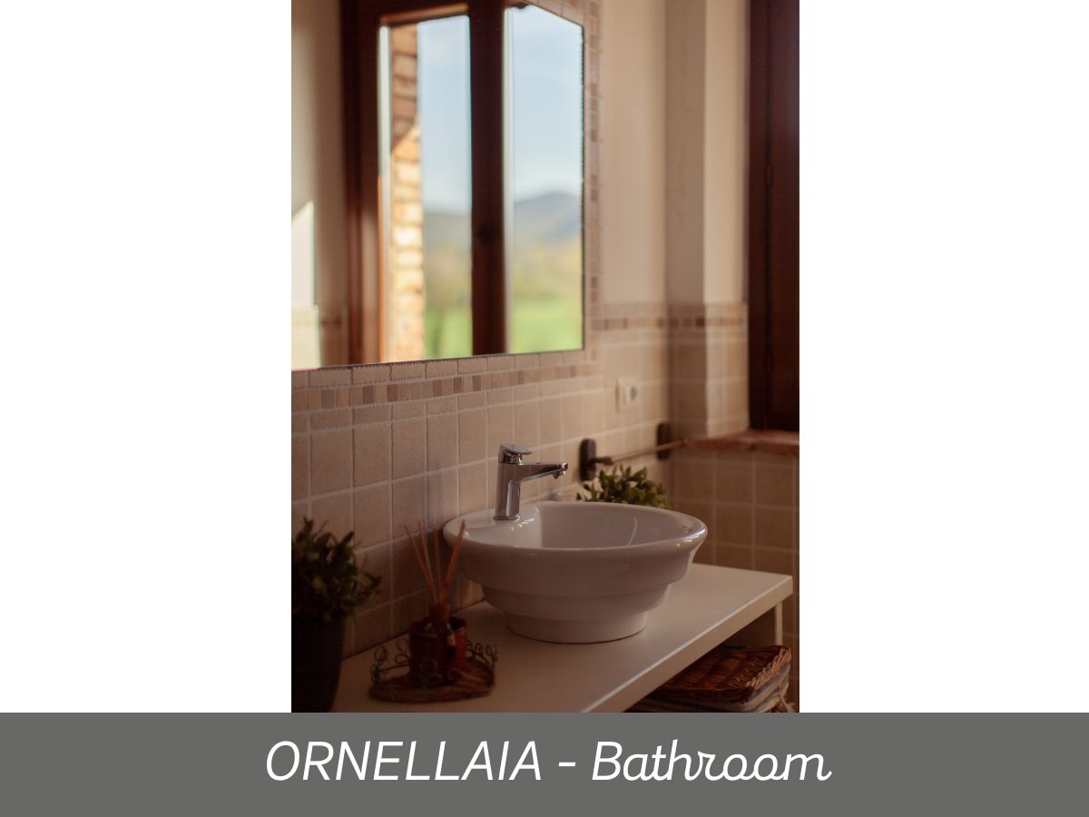 Ornellaia (16)