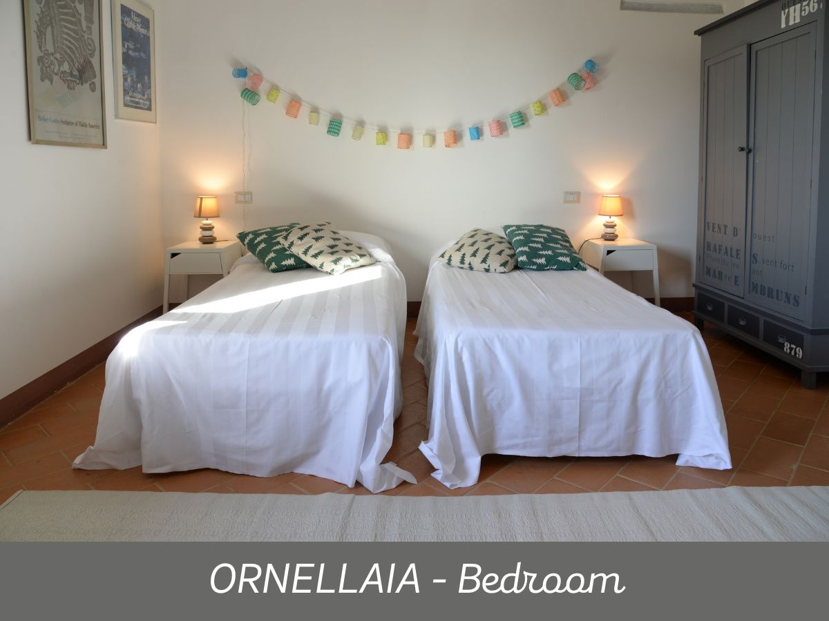 Ornellaia (2)