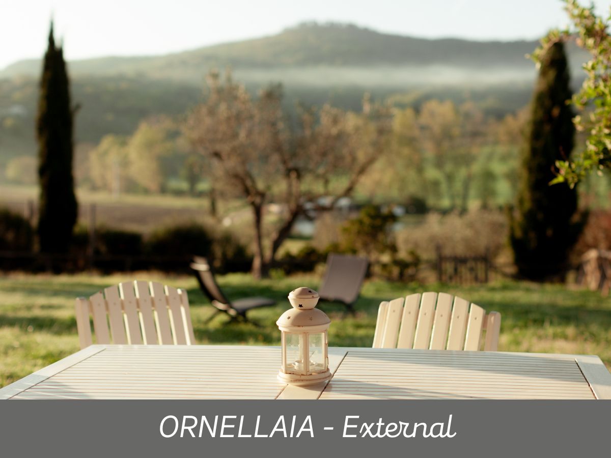 Ornellaia (3)