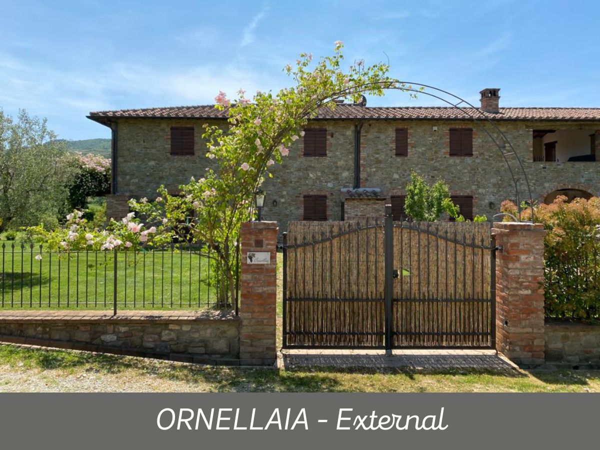 Ornellaia (7)