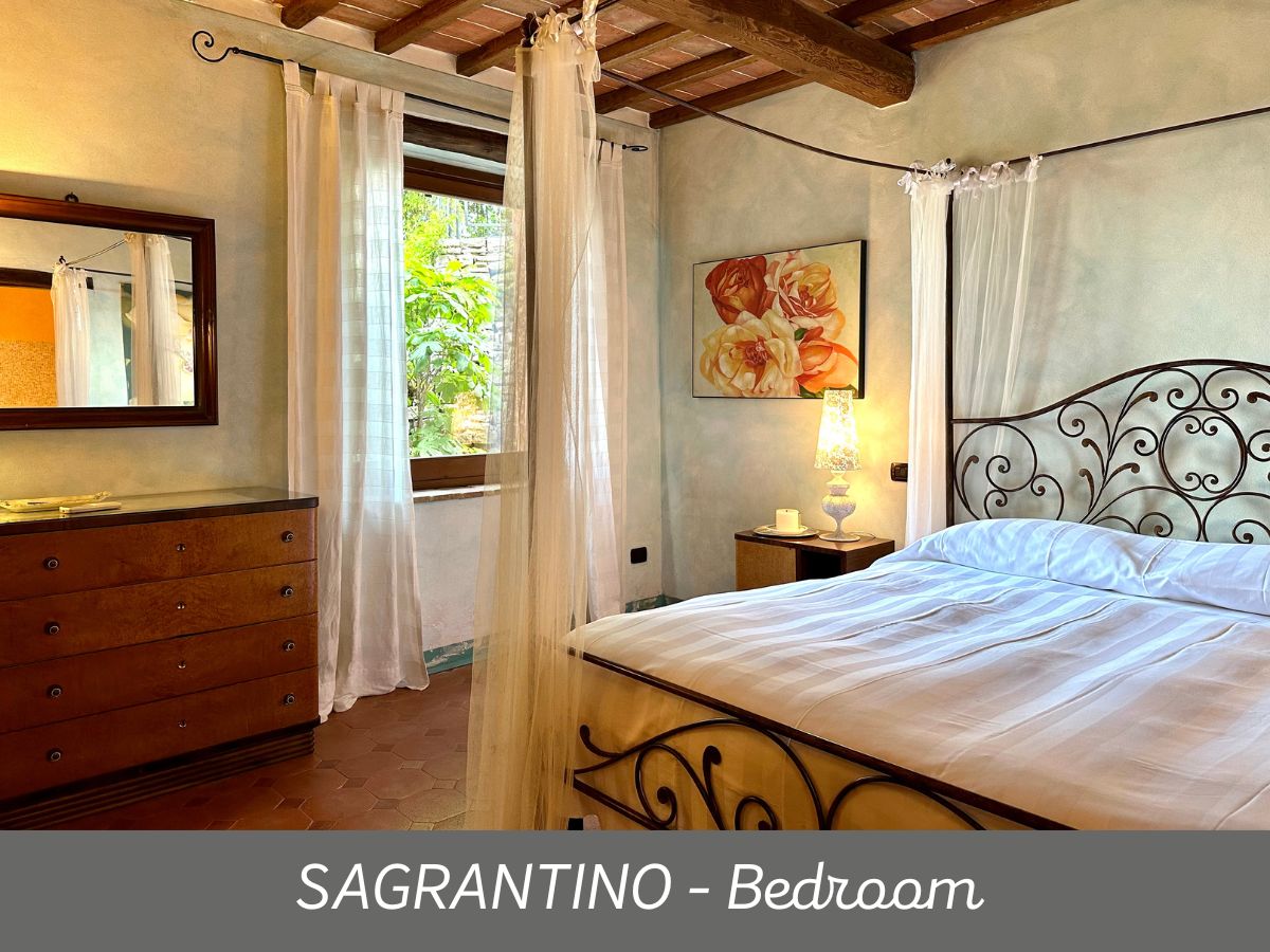 Sagrantino (14)