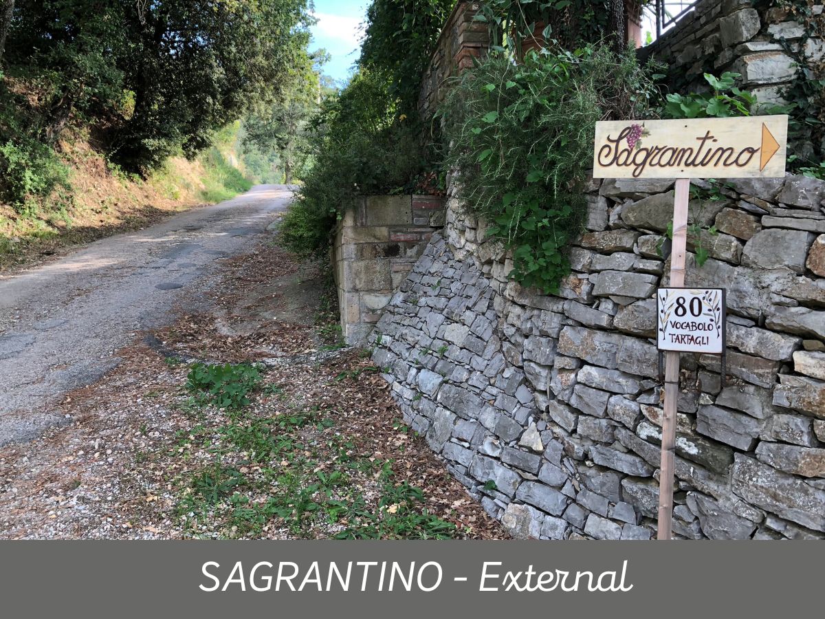 Sagrantino (5)