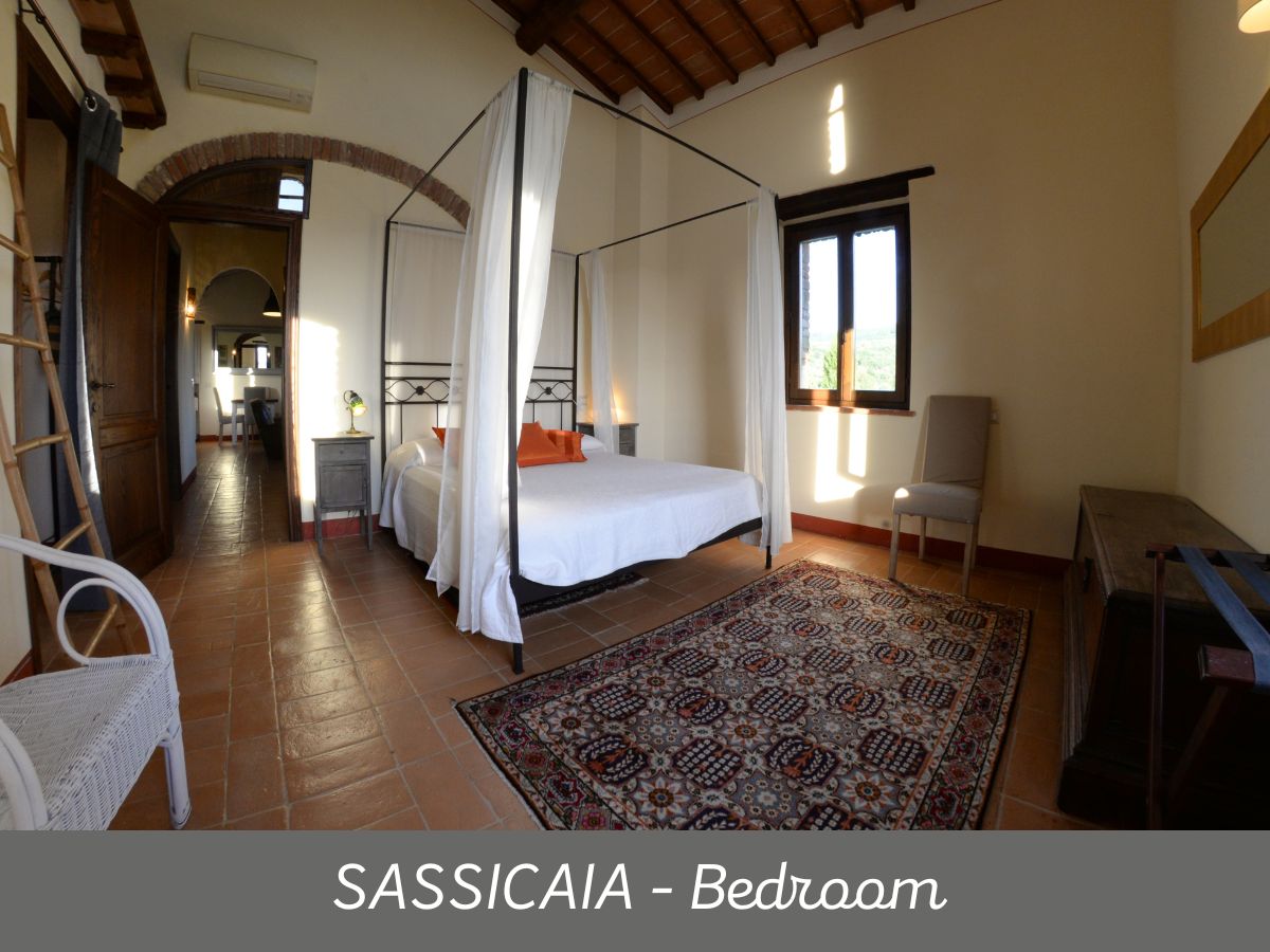 Sassicaia (12)
