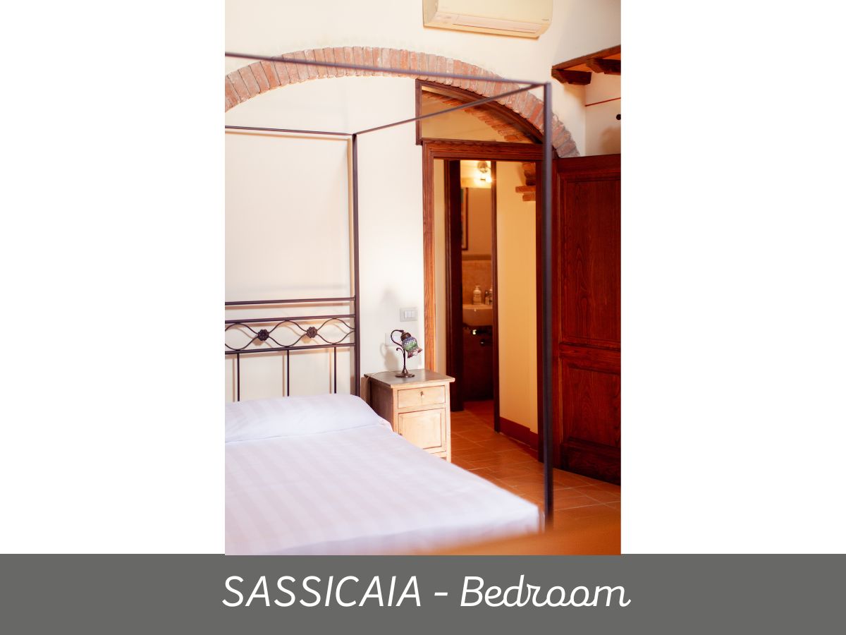 Sassicaia (2)