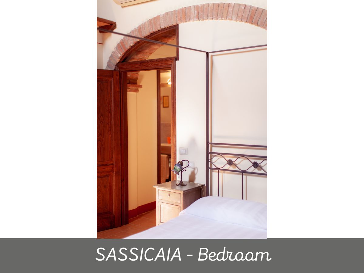 Sassicaia (3)