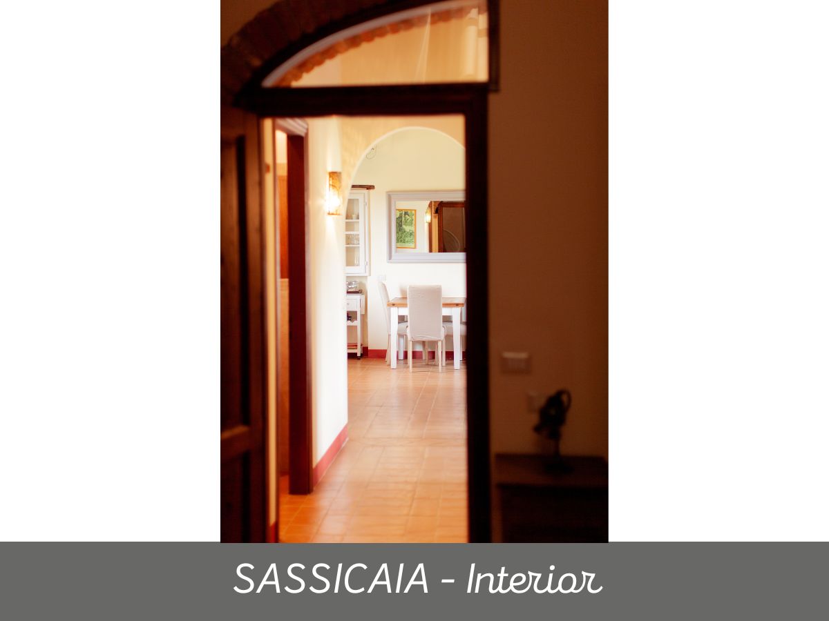 Sassicaia (6)