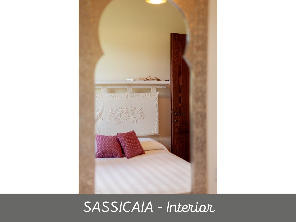 Sassicaia (7)