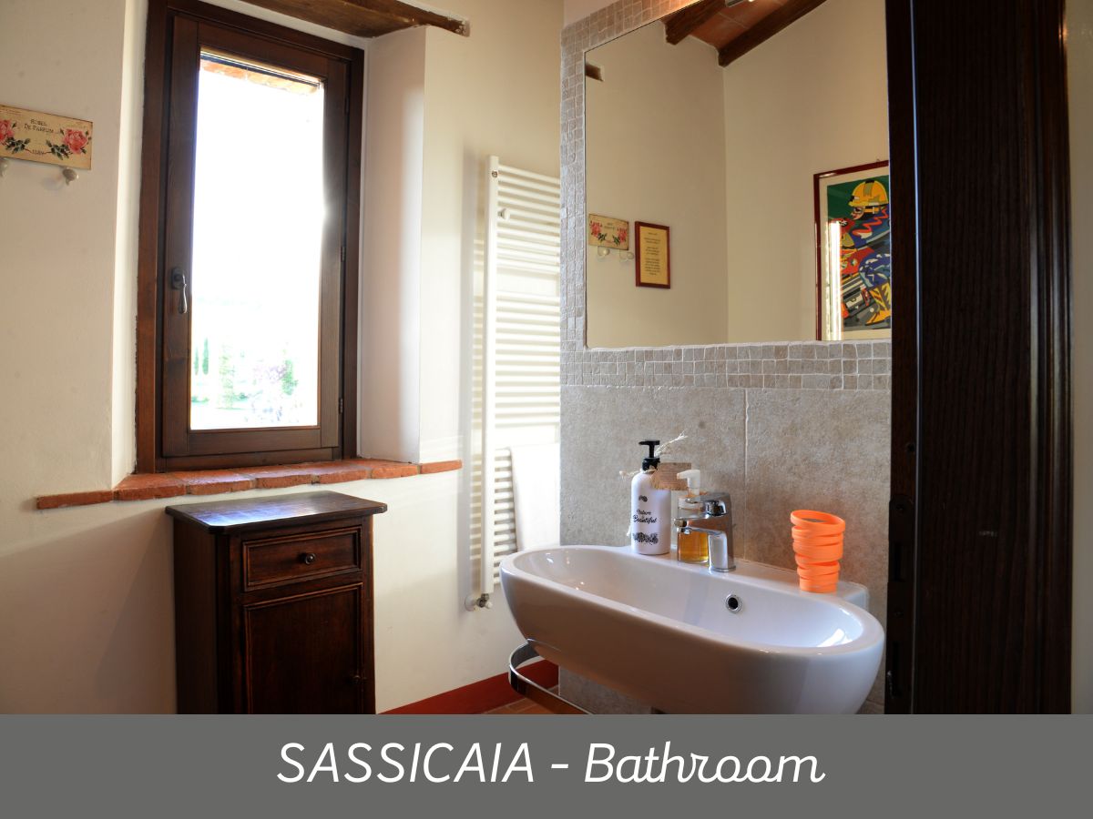 Sassicaia (9)