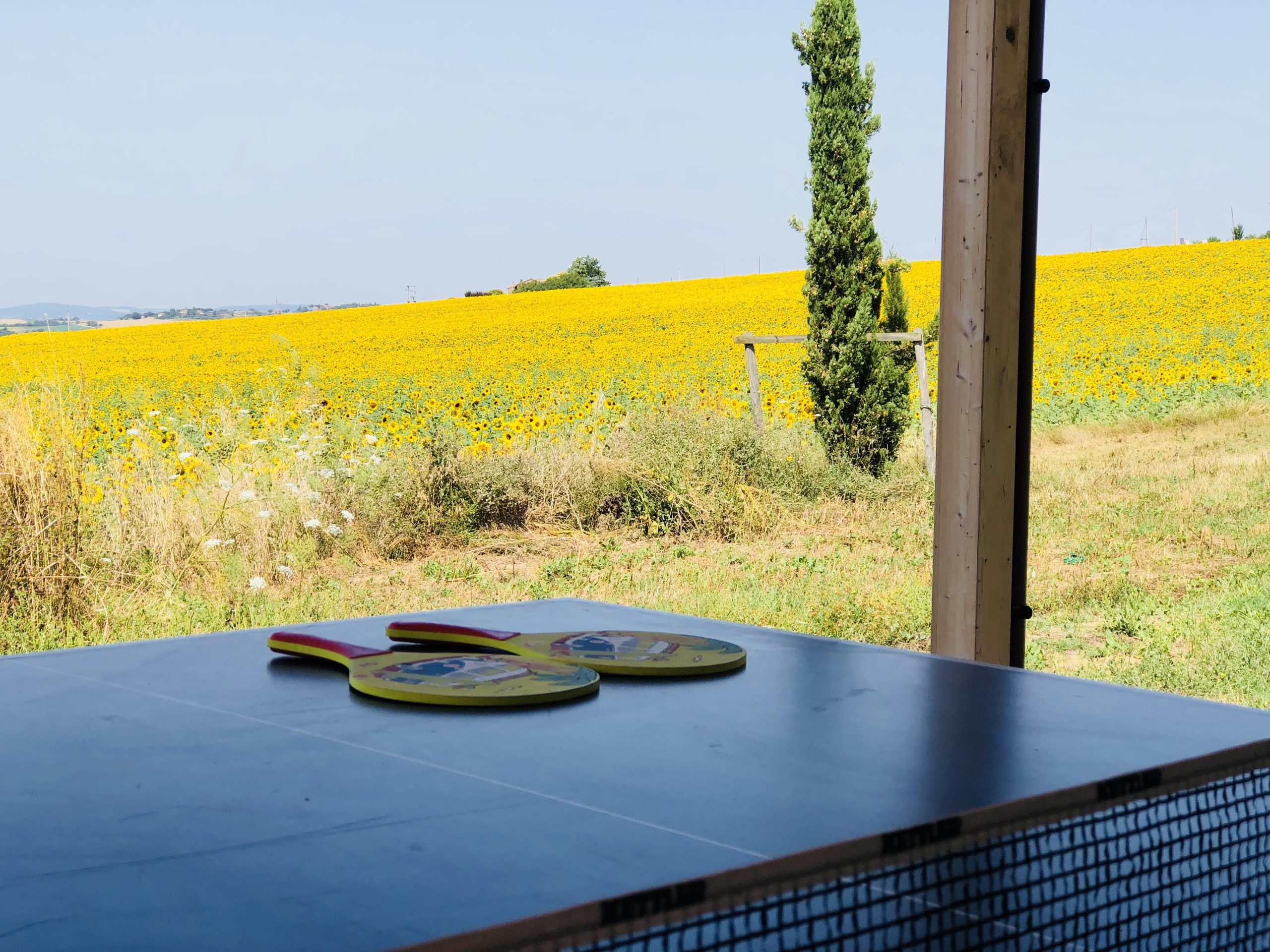 ping pong tablr